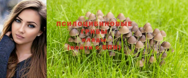 jwh Бронницы