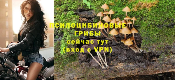 MDMA Бородино